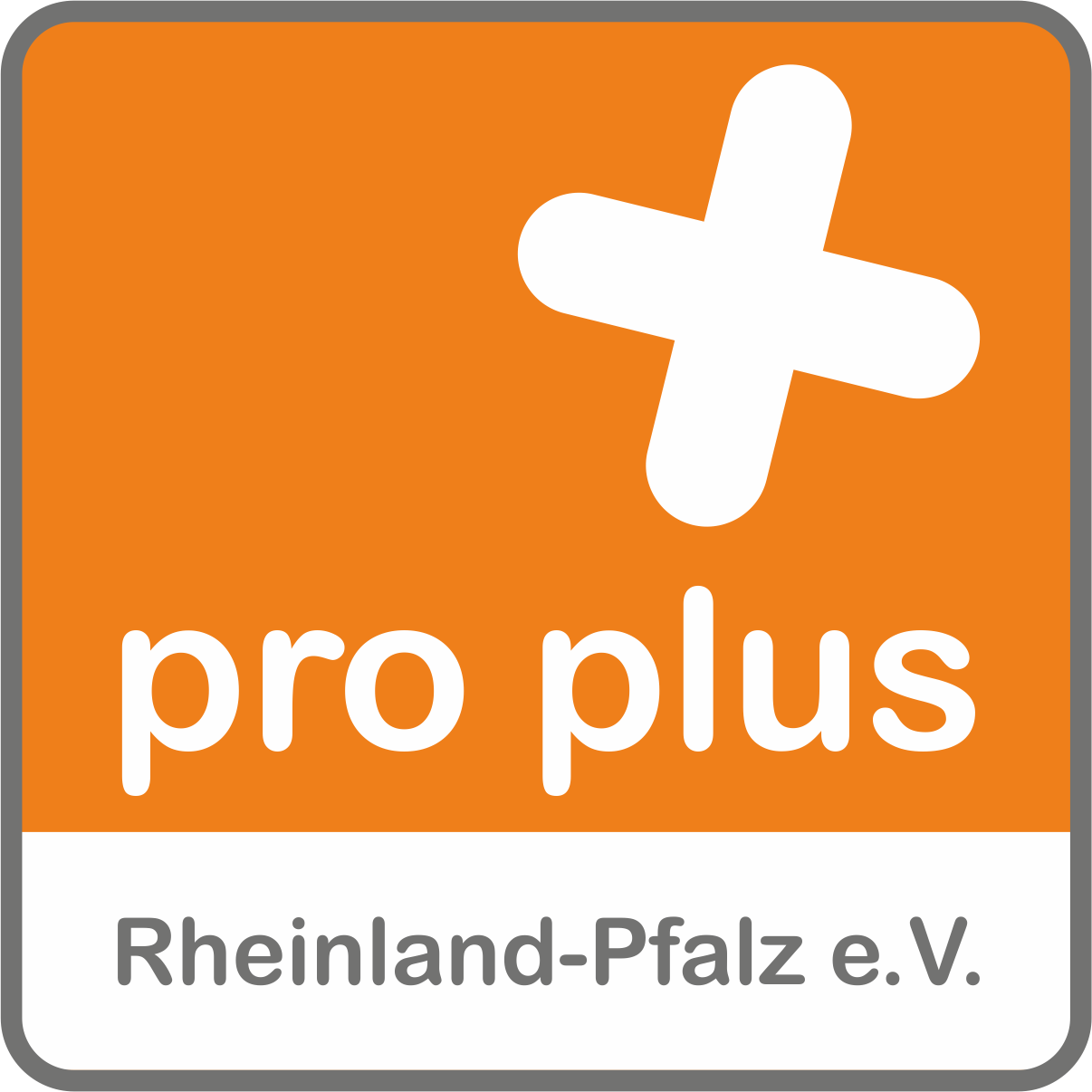 Logo pro plus