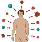 Immunsystem (schwache Abwehrkräfte)